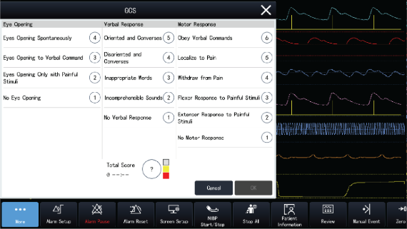 Glasgow Coma Scale (GCS)