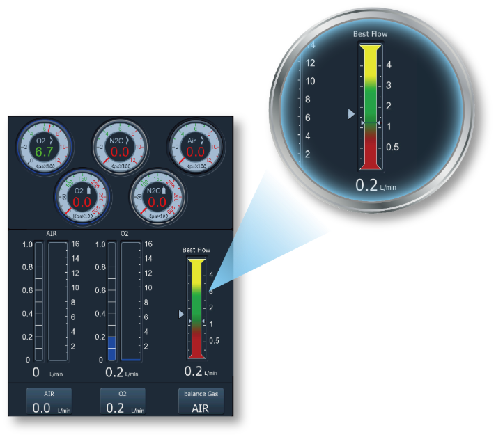 Advanced Fresh Gas Control System