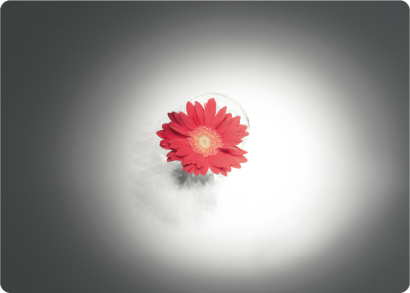 Common Surgical Light
