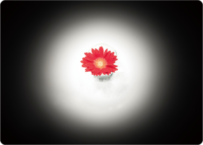 Other Surgical Light