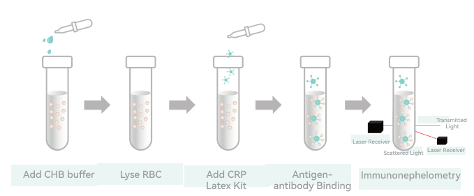 Latex-enhanced Immunonephelometry