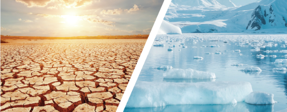 Extreme Temperature Resilience​