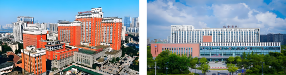 Domestic Partner Hospitals