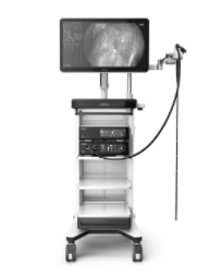 Product Endoscopy