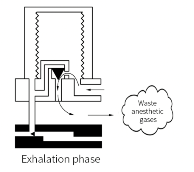 Generation of waste anesthetic gases